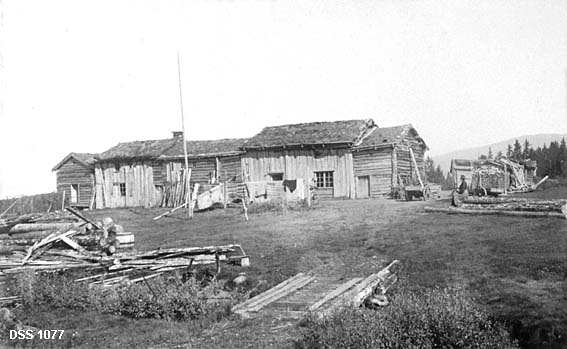 Gardstunet på Grubben i Hattfjelldal, slik det så ut i 1911.  Fotografiet er tatt mot våningshusa på garden, som står på rekke (gavl mot gavl) og later til å være oppført i fire etapper.  Ytterveggene er delvis bordkledde.  Helt til venstre på bildet ses gavlen på stabburet.  Til høyre for og bak våningshusrekka står flere mindre bygninger, delsvis skjult bak en vedstabel.  Ei kvinne satt på en tømmerstokk her, like ved to parkerte kjerrer.  Foran våningshusfløyen hang det klesvask på ei raje.  Helt i forgrunnen var det ei lita bru over et bekkesikl, samt en del tømmer og hunved. 

Da dette fotografiet ble tatt var det Nils Gabrielsen og kona Nikoline Larsdatter som hadde bygselskontrakt på denne eiendommen.  De bodde her sammen med et par mindreårige barn, men også den voksne dattera Klara Nilsdatter bodde på bruket med mann og barn. 

Jorda i Hattfjelldalen var lenge på utenbygds hender.  Lenge var det velstående familier i Nord-Norge som eide dette godset, men i 1865 ble eiendommen oppkjøpt av engelske interssenter i det som etter hvert ble hetende The North of Europe Land & Mining Comp. Limited - på Helgeland vanligvis omtalt under navnet «Ængelskbruket» (jfr. fanen «Opplysninger»).  De utenlandske investorene avvirket skogen i høyt tempo og uten særlig tanke på gjenvekst og foryngelse.  I 1892 vedtok stortinget «Lov indeholdende Forbud mod Udførsel af Trævirke m.v. fra Nordlands, Tromsø og Finmarkens Amter» for å sette en stopper for slik virksomhet, noe som førte til at det engelske selskapet forsøkte å selge eiendommene på Helgeland.  Staten avslo et tilbud om å kjøpe skogene i 1898 på grunn av selskapets prisforlangende.  Året etter kom det et nytt tilbud.  Staten valgte da å kjøpe Hattfjelldalsgodset, dels for å redde de uthogde skogene, dels for å kunne bidra til at de mange leilendingene i bygda fikk kjøpe brukene sine og dels for å bli kvitt det utenlandske eierskapet.  På overtakelsestidspunktet var det 102 matrikulerte bruk i Hattfjelldalen, hvorav 99 hadde vært drevet som leilendingsbruk under det engelske selskapet.  Grubben var ett av disse.

Noen dokumenter med informasjon om eier- og bruksforhold knyttet til Grubben og mange andre eiendommer i Hattfjelldal finnes under fanen «Opplysninger».