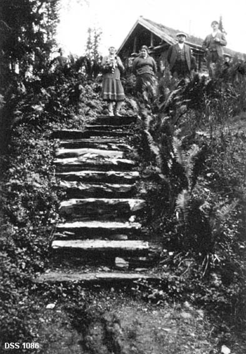 Fra hytta "Oppistua" på Luspen i Hattfjelldal.  Fotografiet viser ei trapp av steinheller, omgitt av blant annet bregnevekster, opp mot hytta.  Øverst i trappa står to kvinner og to menn.  Hytta skimtes i bakgrunnen.  Det er en laftekonstruksjon med torvtak og med overbygd, stolpebåren veranda i gavlenden. 