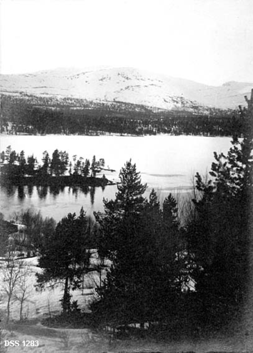 Utsikt fra "Svenninghouse" i Nes trelastbruks skoger i Grane kommune på Helgeland.  Fotografiet viser et vatn (Svenningdalsvatnet) omgitt av furuskog og med skogbare, snødekte fjellrygger i bakgrunnen.