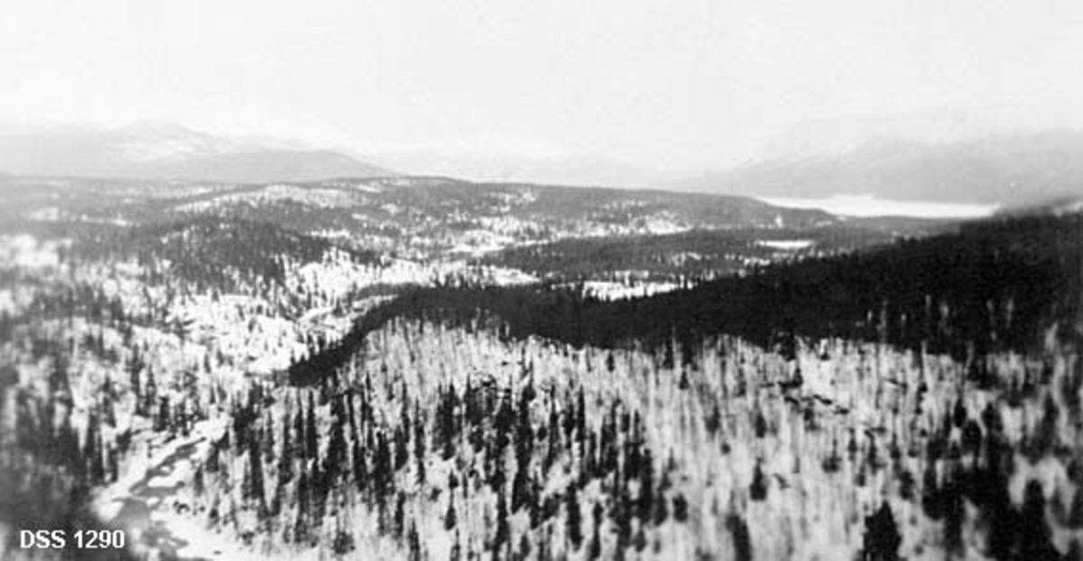 Utsikt over snødekt skoglandskap omkring Unkerelva i Hattfjelldal på Helgeland.  I bakgrunnen skimtes Unkervatn.  Landskapet pregges av åser med ujamn tetthet av granskog. 