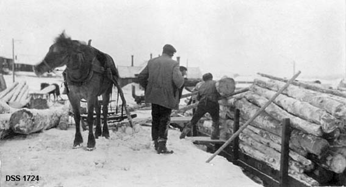 Lessing av vedtømmer ved Røros jernbanestasjon.  Til venstre i bildet en del tømmerstokker og en hest med tom slede.  Til høyre for hesten står en mann og ser på at to andre ruller stokker opp på jernbanevogner.  Det er lagt lemmer mellom vognene og perrongen, slik at karene skal ha plattformer å arbeide på. I bakgrunnen skimtes en del bygninger. 