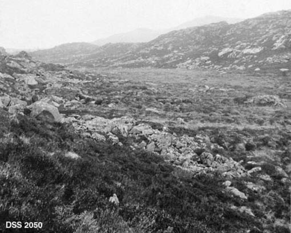 Fjellandskap fra Nese statsskoganlegg i Gjesdal.  Fotografiet viser et myrete parti mellim to bergrygger.  Flere fjell i bakgrunnen. 