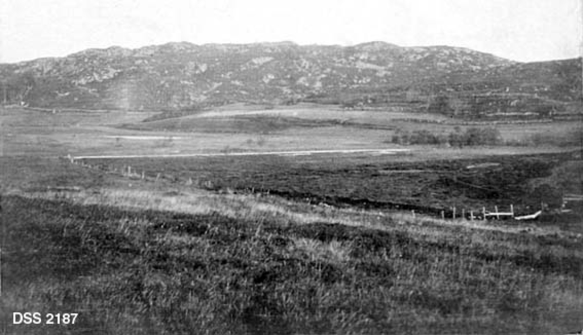 Landskapsbilde fra Bryne skoganlegg mot Listerlandet.  Lyngsletter i forgrunnen, markert fjellrygg i bakgrunnen. 