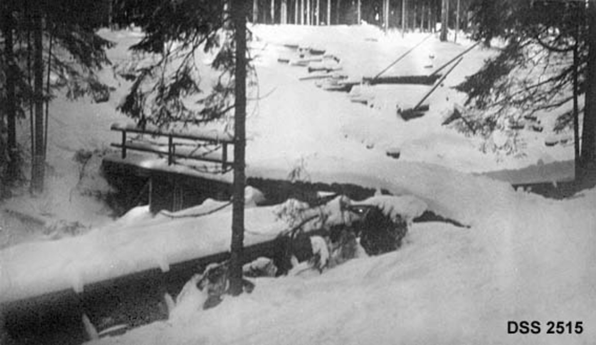 Vinterbilde med snødekt fløtingsrenne i Haugselvvassdraget i Treschow-Fritzøes skoger.  I bakgrunnen ses ei bru og ei tømmerlunne, samt noe granskog. 