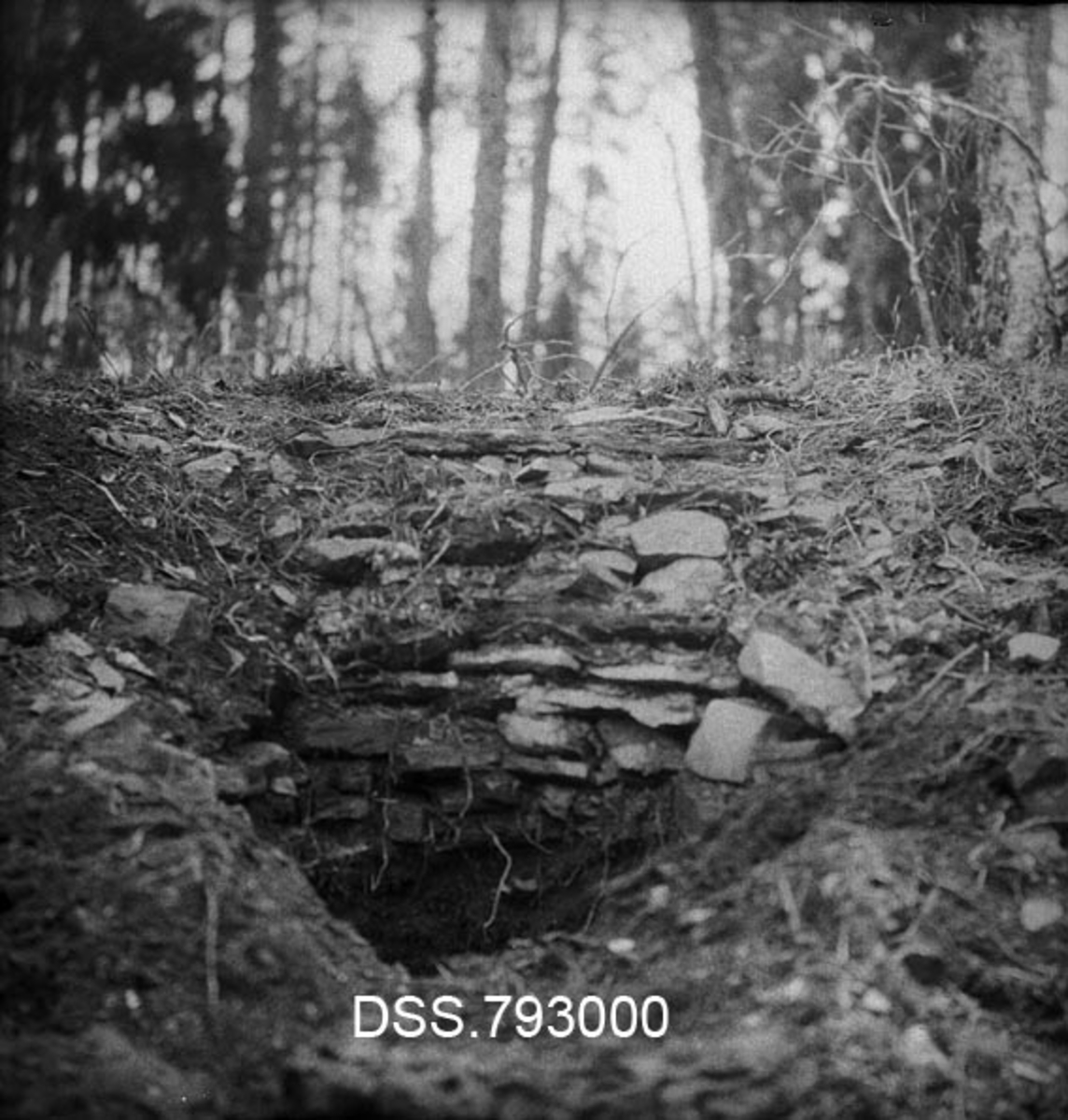 Myrmalmovn i Hoppoppbrenna i Engerdal, Hedmark. 