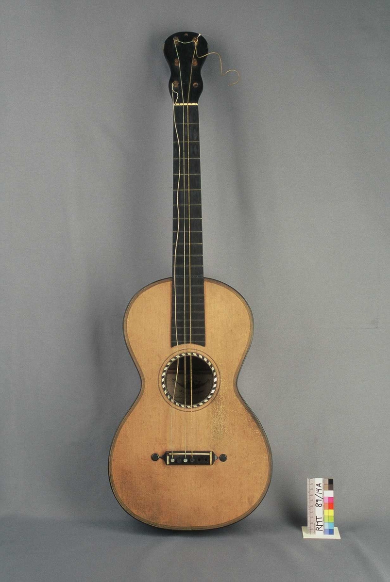 Lokk av gran, bunn og sarger av lønn. Lokket er kantet med dekor i form av fem smale striper av mørkt tre, og en bredere hjørnelist av ibenholt. Lydhull kantet med dekor i form av innlagte biter av perlemor og mørkt tre. En endeknapp av ibenholt.
Strengeholder/stol av ibenholt. Dekorert med perlemor (delvis skadet), og på hver side øyne av ibenholt som også har vært dekorert med perlemor (mangler). De seks strengene er festet til holder ved hjelp av stifter av ibenholt, to mangler. Stol i form av smal elfenbenslist. Hals av mørkt, beiset tre. Med dekorplate av elfenben på baksiden av hælen mot bunnen. Halsen ender i en skrueplate med svunget omriss. Seks bakoverstilte stemmeskruer i buksbom med elfenbensøyne, en skrue mangler.
Gripebrett av ibenholt, oversadel av elfenben. 20 innfelte metallbånd. Fire tverrgående ribber på undersiden av lokk og på bunnen.