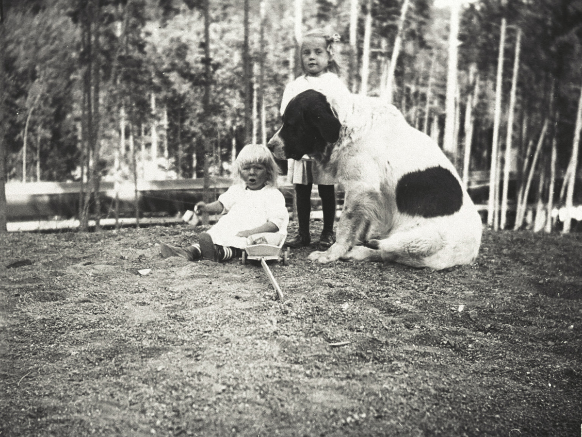 Små jenter med ein stor hund