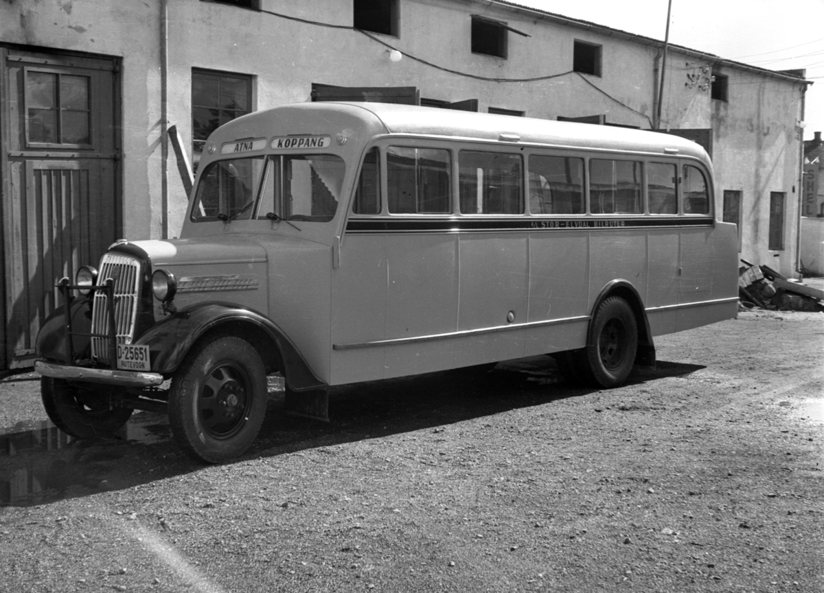 Buss