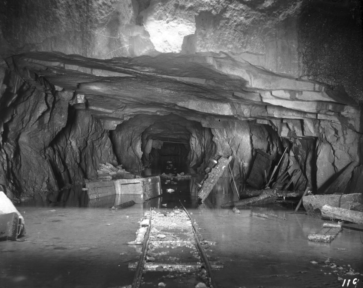 Tappetunnel under Ringedalsdammen, "Schult's tunnel".