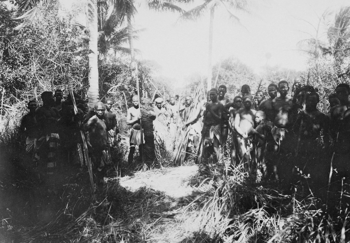 Mosambik. 1914. Ute i bushen. Afrikanere, også unge gutter/barn, utstyrt med spisse stokker.