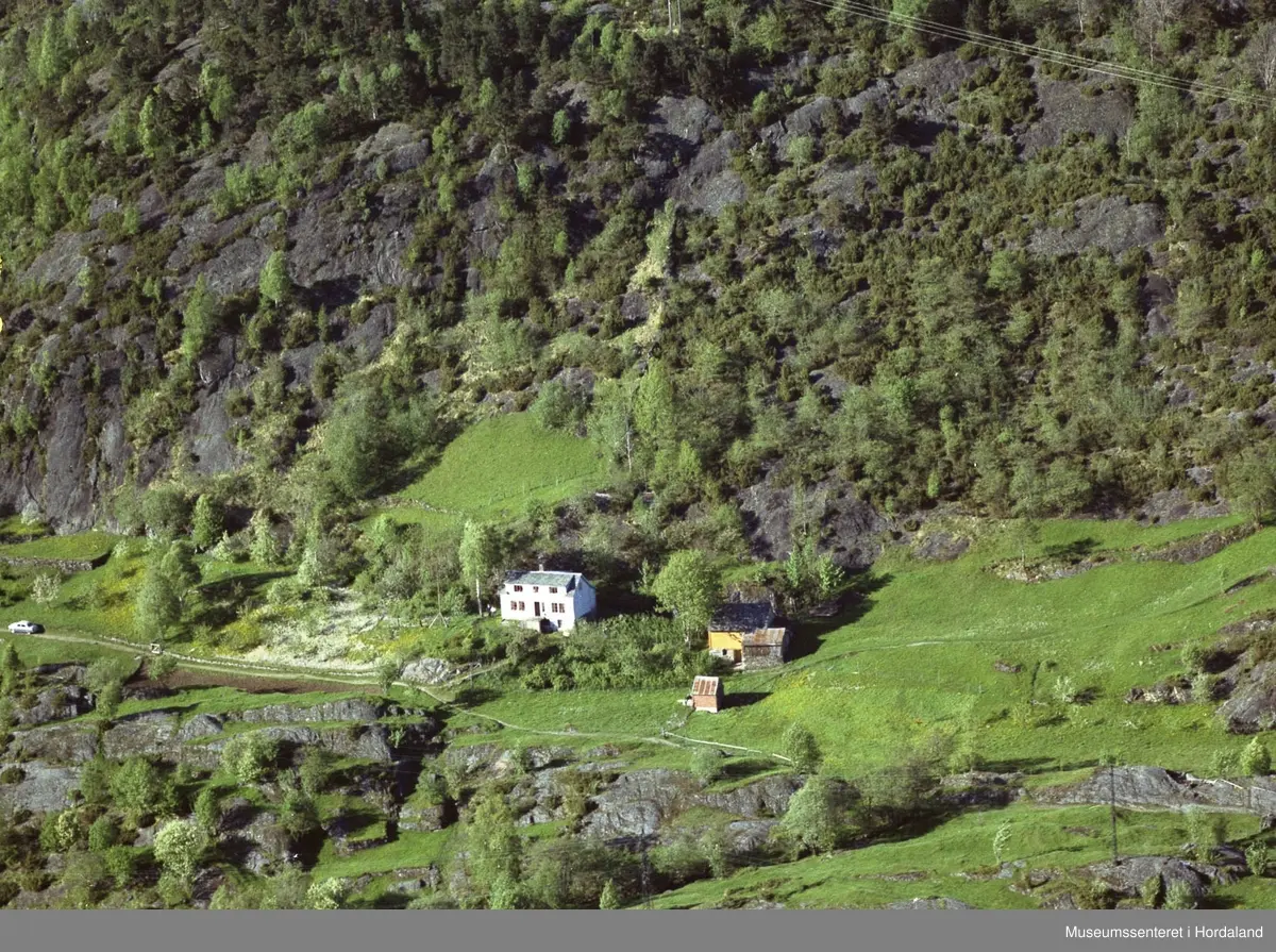 Fjellgard