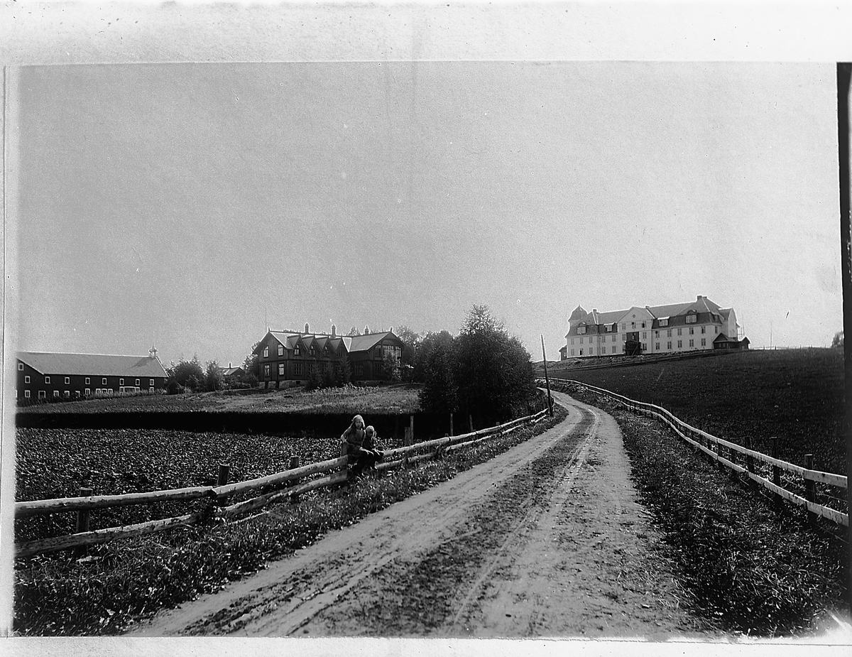 JØNSBERG LANDBRUKSSKOLE i Stange. EKSTERIØR. SKOLEN SETT MOT SØR. MED VEG I FORGRUNN. 