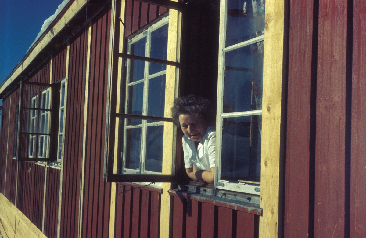 Kokka Anna ser ut vindauga på brakka ved Nibbehøl.