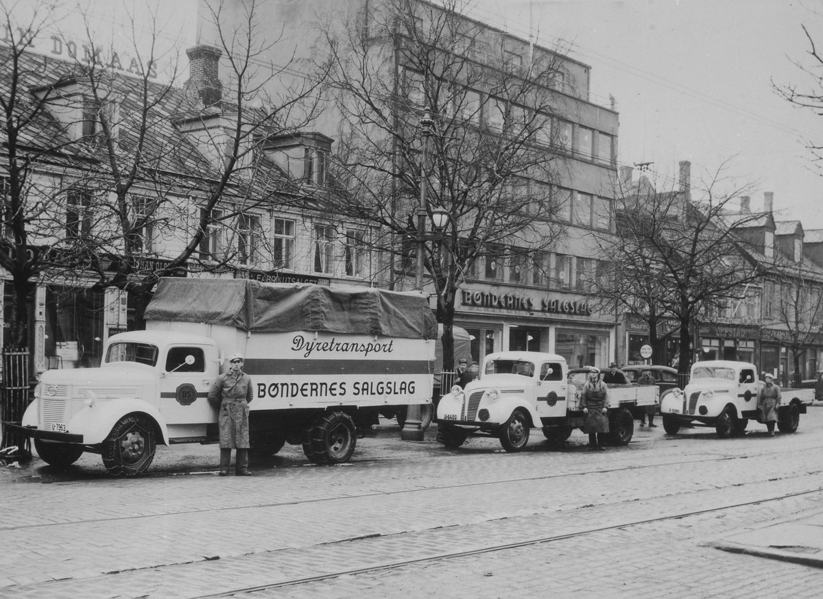 Bøndernes Salgslags Volvo lastebiler (kopi)