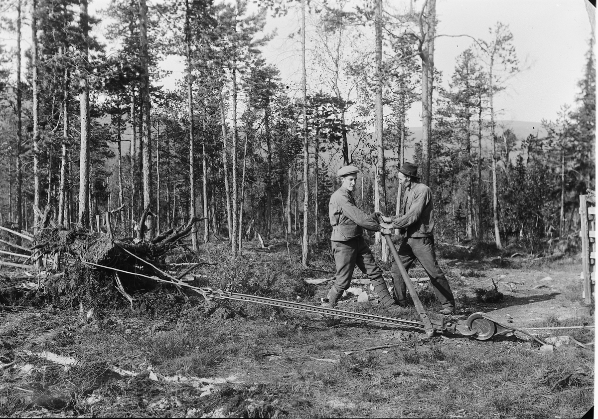 Ringsaker og Nes Almenning, Ulveskogen, skogbruk, 2 skogsarbeidere med stubbebryter, håndvinsj for å dra opp røtter, rydder tomt til det første sagbruket som ble bygd ved Brattbakken, fra venstre Karl Olstad og ukjent,
