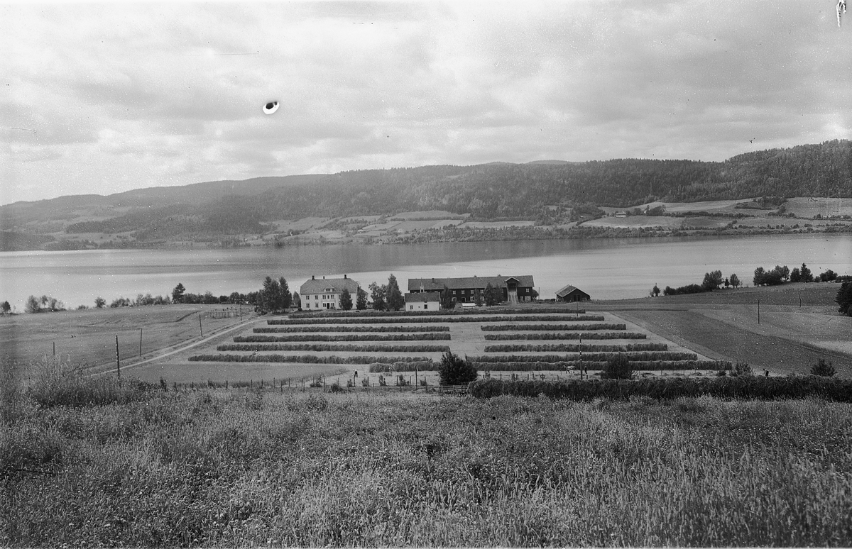 Ringsaker, Ring, gården Vea Nedre, innhøsting, slåtonn med høyhesjer, gården bygd opp i 1923,
