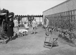 Wilhelm Moe med familie, Vestråt