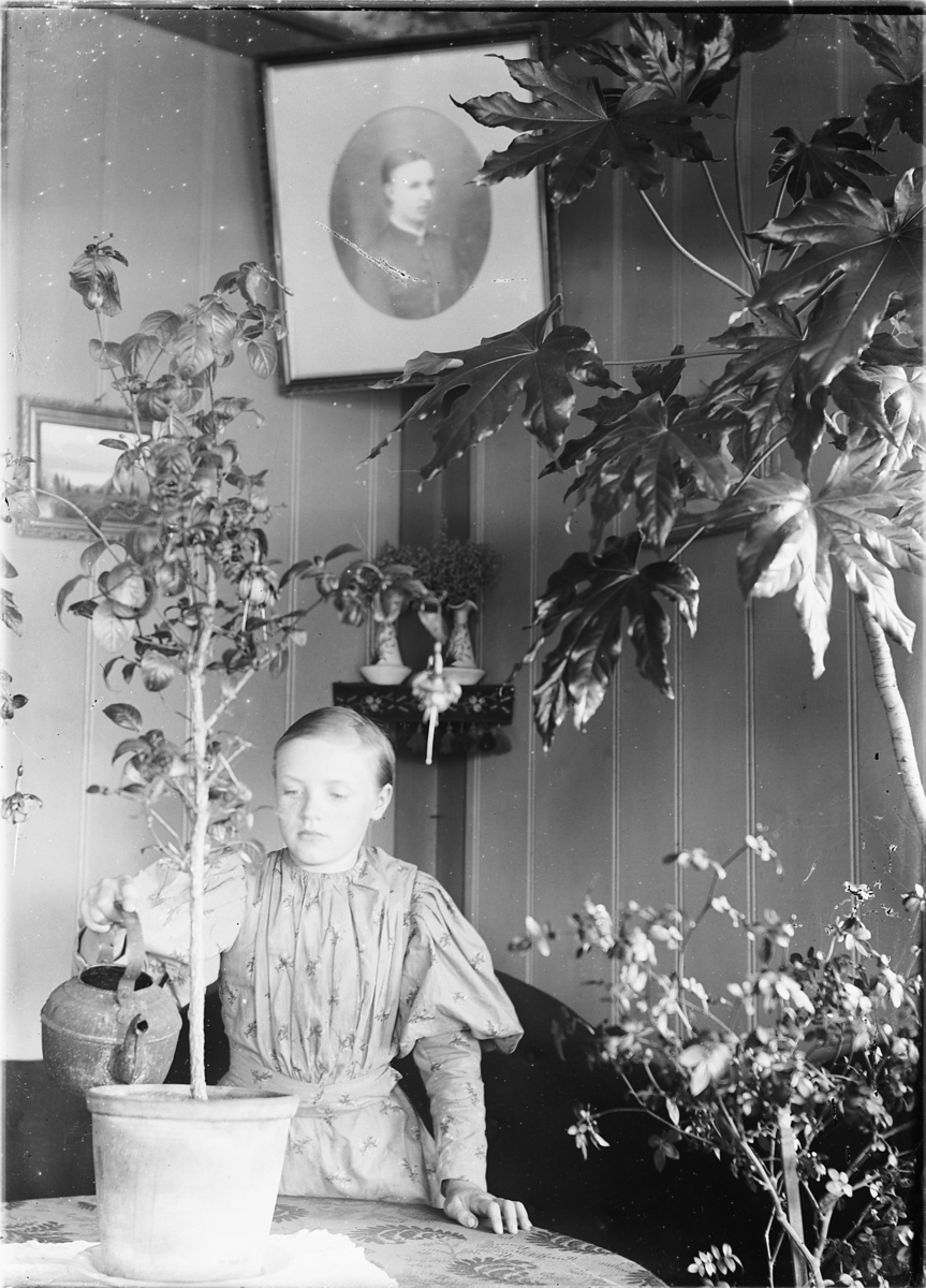 Ringsaker, Ring, Fjølstad østre, Karen Helene Horne, gift Fjelstad, vanner en stueplante, interiør, stue , (datter til fotografen)