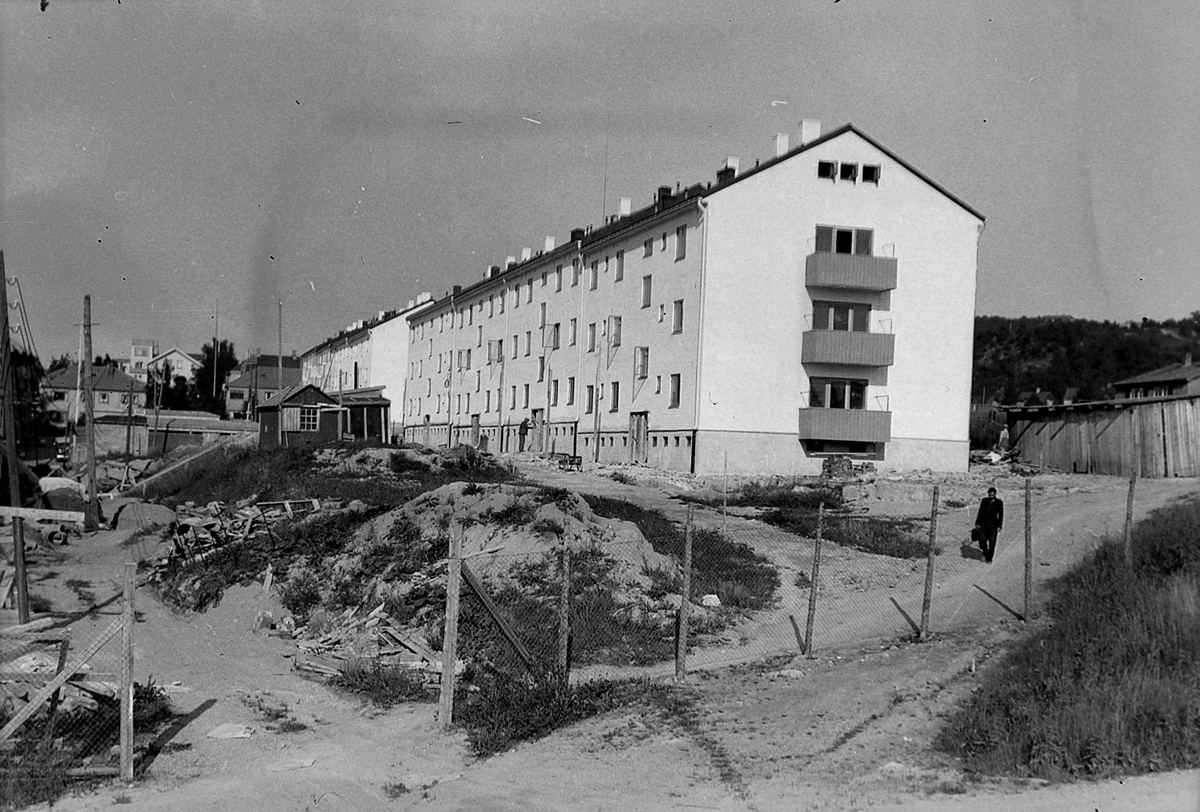 Trondheim Boligbyggelags leiegårder