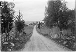 Ringsaker, Åsmarka, Fjellvegen, vegen inn til Haukåssvea i Å