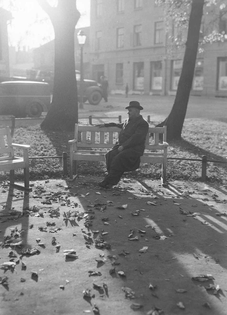 Høststemning i parken ved Vår Frue kirke