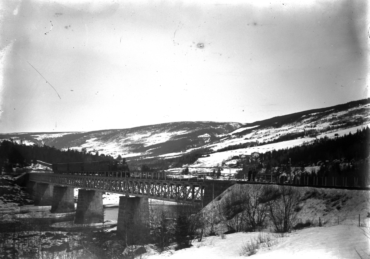 Oppland, Øyer kommune, togvogner på jernbanebrua over Lågen sør for Hunder stasjon i Gudbrandsdalen.