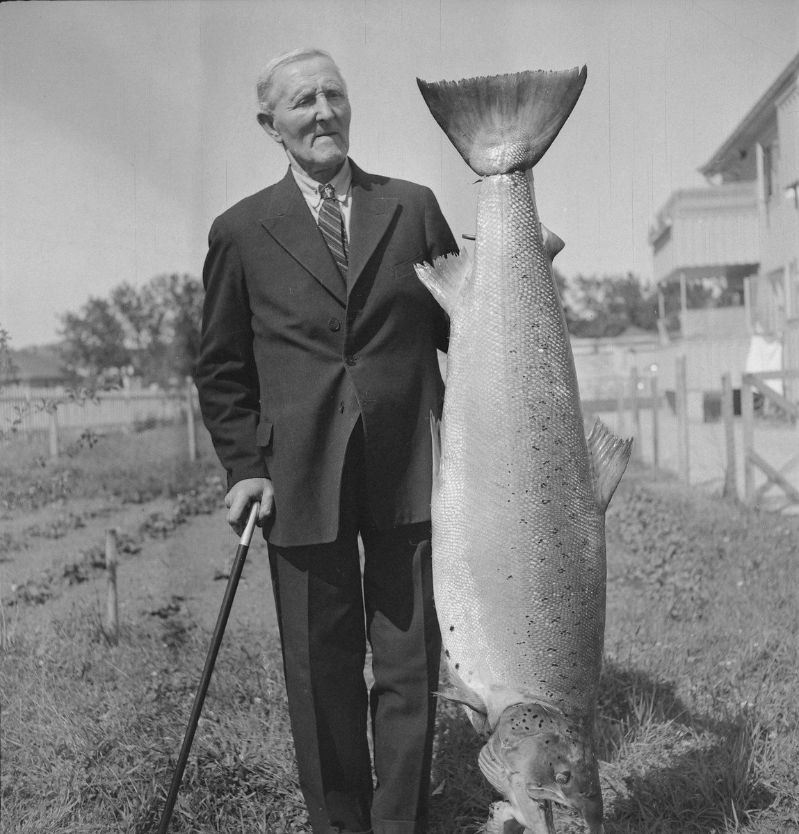 Even Pedersen Wollan med laks på 25 kilo