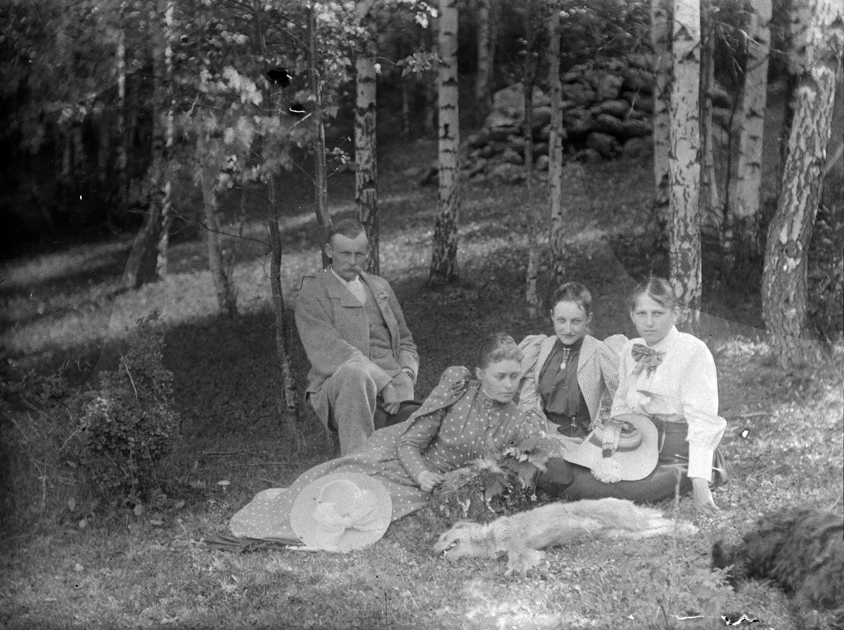 Ringsaker, Nes, Grefsheim gård, En mann og tre kvinner på tur i skogen. En hund hviler i gresset. Sophie Christine Mellbye liggende til venstre og Julie Mellbye i midten.