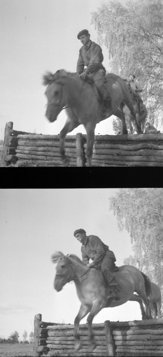 Østre Toten, Starum leir, militær øvelse for veterinærfenrikker, Hærens veterinærtjeneste, befal, Dk. Vestlandet, Trøndelagkompaniet, kokkekurs, riding, gruppebilder