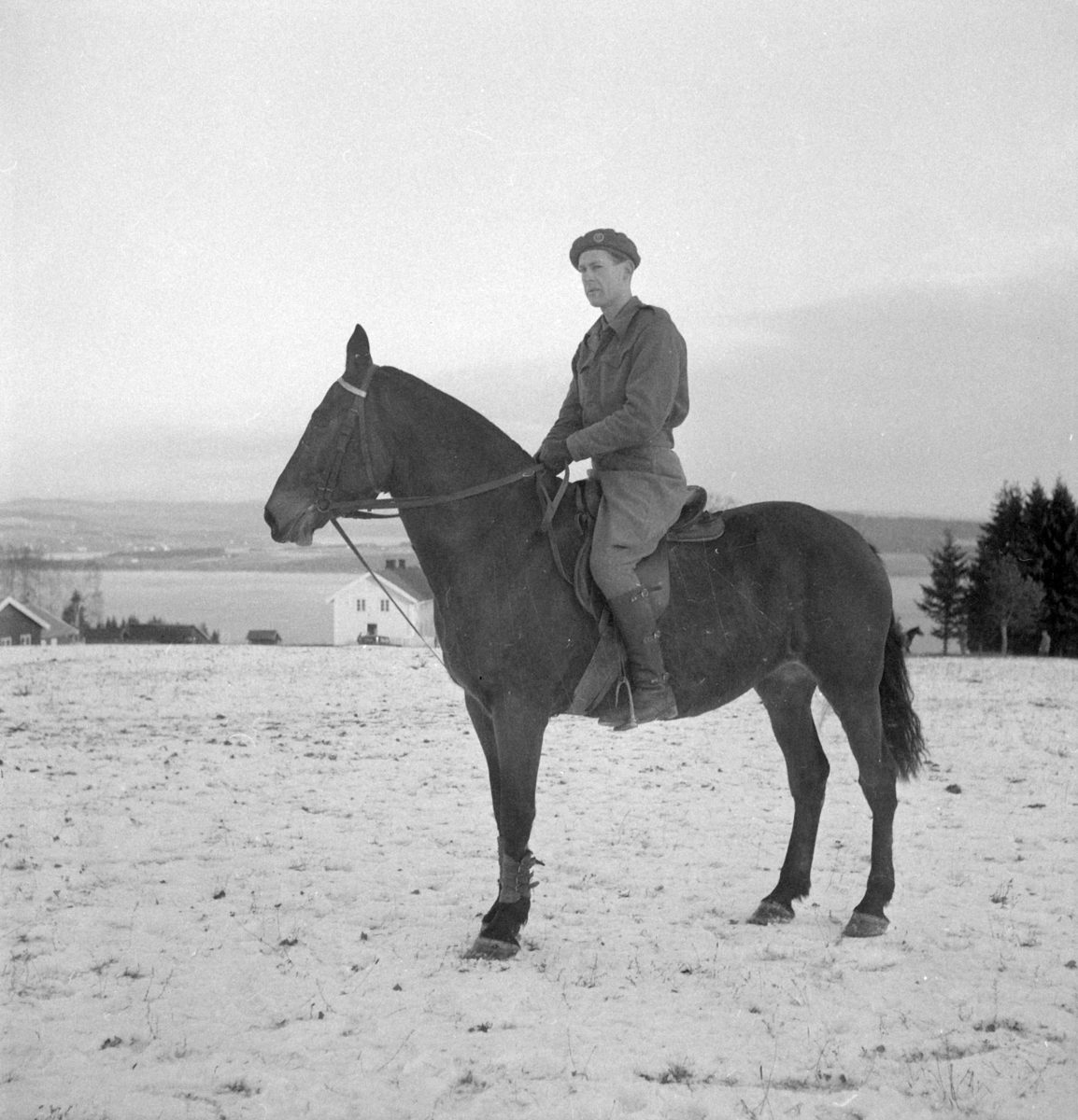 Militære, Starum ekserserplass, diverse kurs og diverse portretter, 1950. Starum. 


Bilde nr. 1: Fenrik Raassum, nr. 2: fenrik Midtbø, nr. 3: sersjant Grini, nr. 4: sersjant Mo, nr. 5: R. Løkken. 

Bilde nr. 6 til 20: Ukjente menn på hester. 
Bilde nr. 21 til 23: Ukjente menn, bilde nr. 24: Sersjant Aabel. 
Nr. 27 til 30: Ukjente menn til hest. 