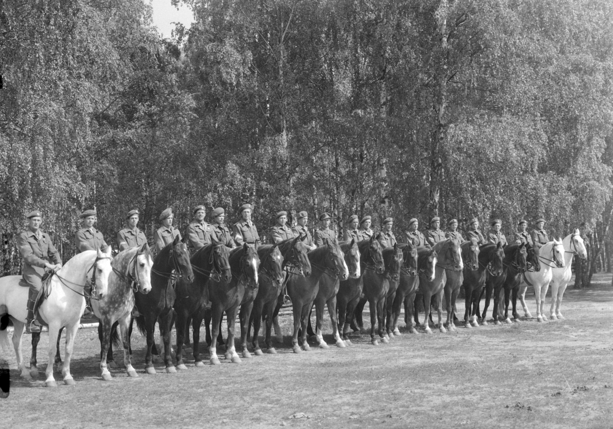 Militære, Starum ekserserplass, diverse kurs og diverse portretter, 1950. Starum. 


Bilde nr. 1: Fenrik Raassum, nr. 2: fenrik Midtbø, nr. 3: sersjant Grini, nr. 4: sersjant Mo, nr. 5: R. Løkken. 

Bilde nr. 6 til 20: Ukjente menn på hester. 
Bilde nr. 21 til 23: Ukjente menn, bilde nr. 24: Sersjant Aabel. 
Nr. 27 til 30: Ukjente menn til hest. 