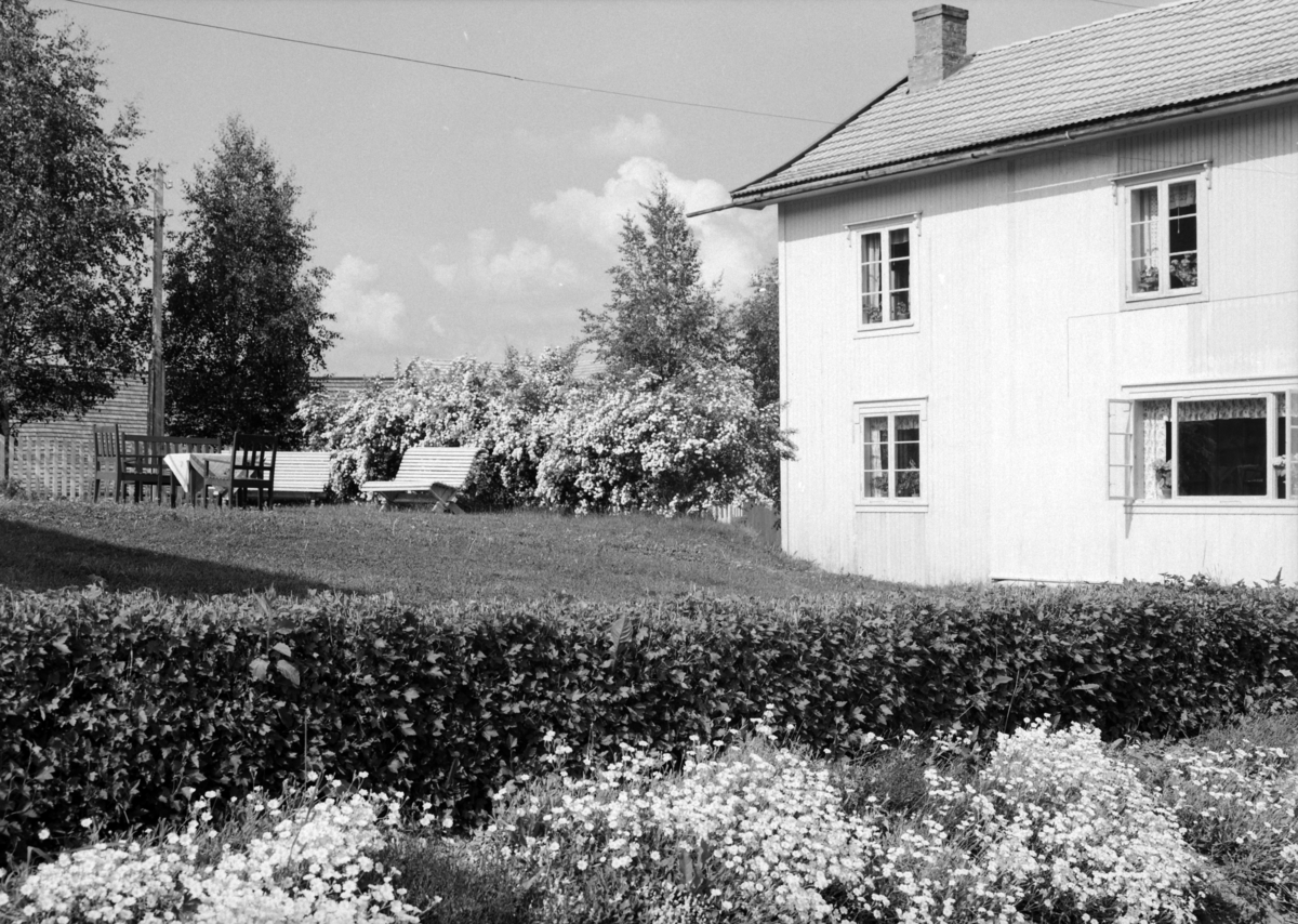 Ringsaker, Nes H, Nerlien gård, 7 opptak fra gården