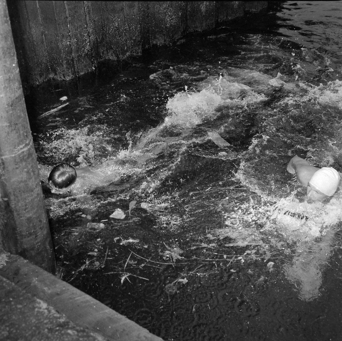 Svømmestevne i Ytre Havn