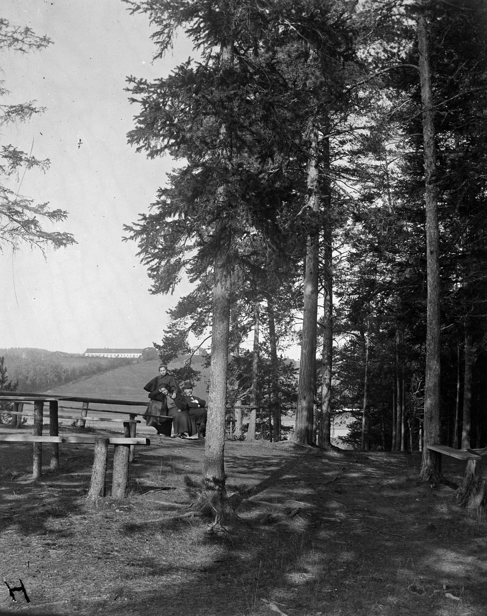 Hovinsholm gård, Helgøya i Ringsaker. Bilde tatt fra Hovinsholmen mot gården. Trebenker. Gården i bakgrunnen. 3 personer, søstrene Ragnhild Marie Hoel og Sigrid Pauline Hoel samt ukjent mann. Foto Jacob Hoel.