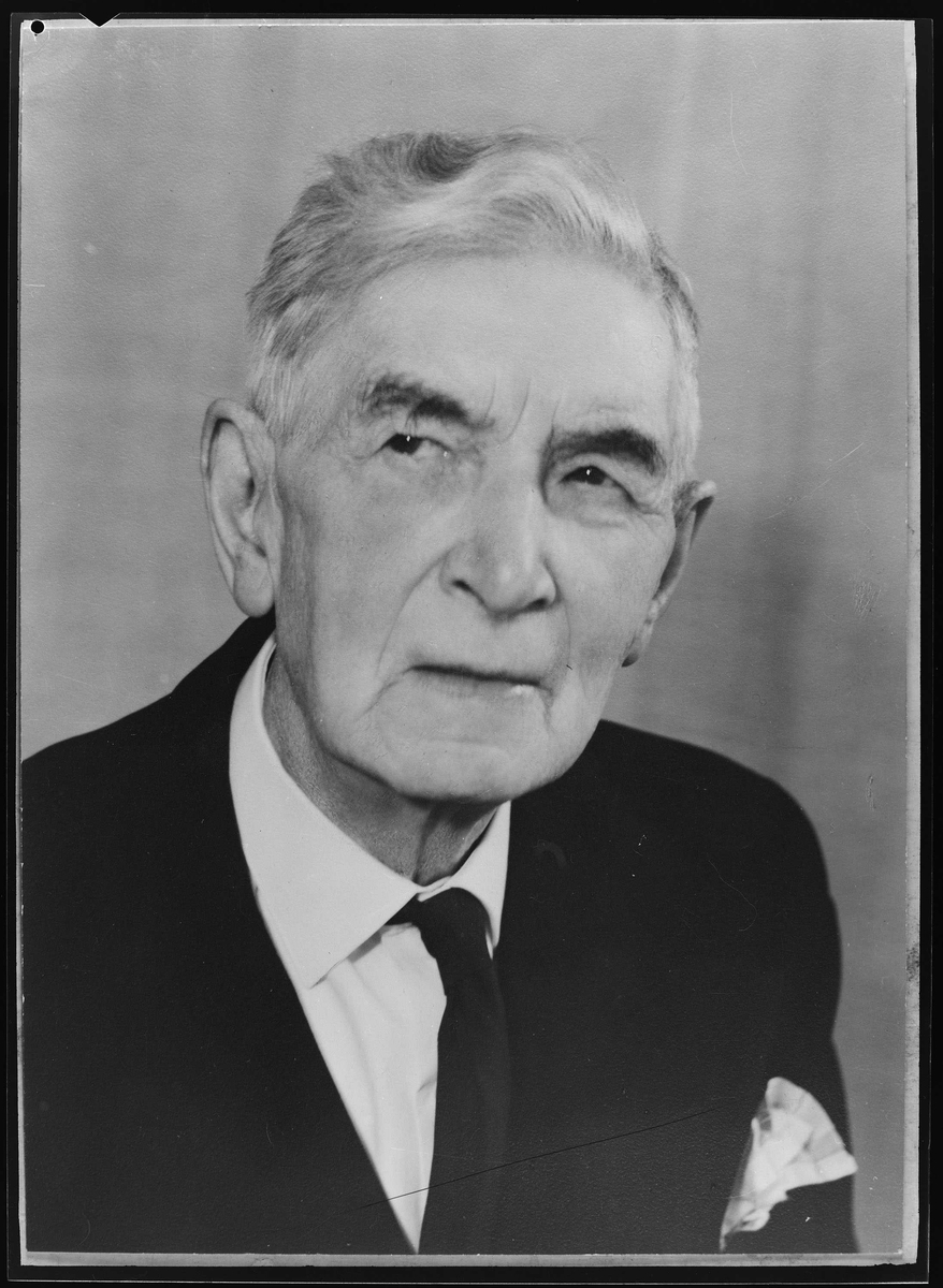 Portrett av Johan Falkberget