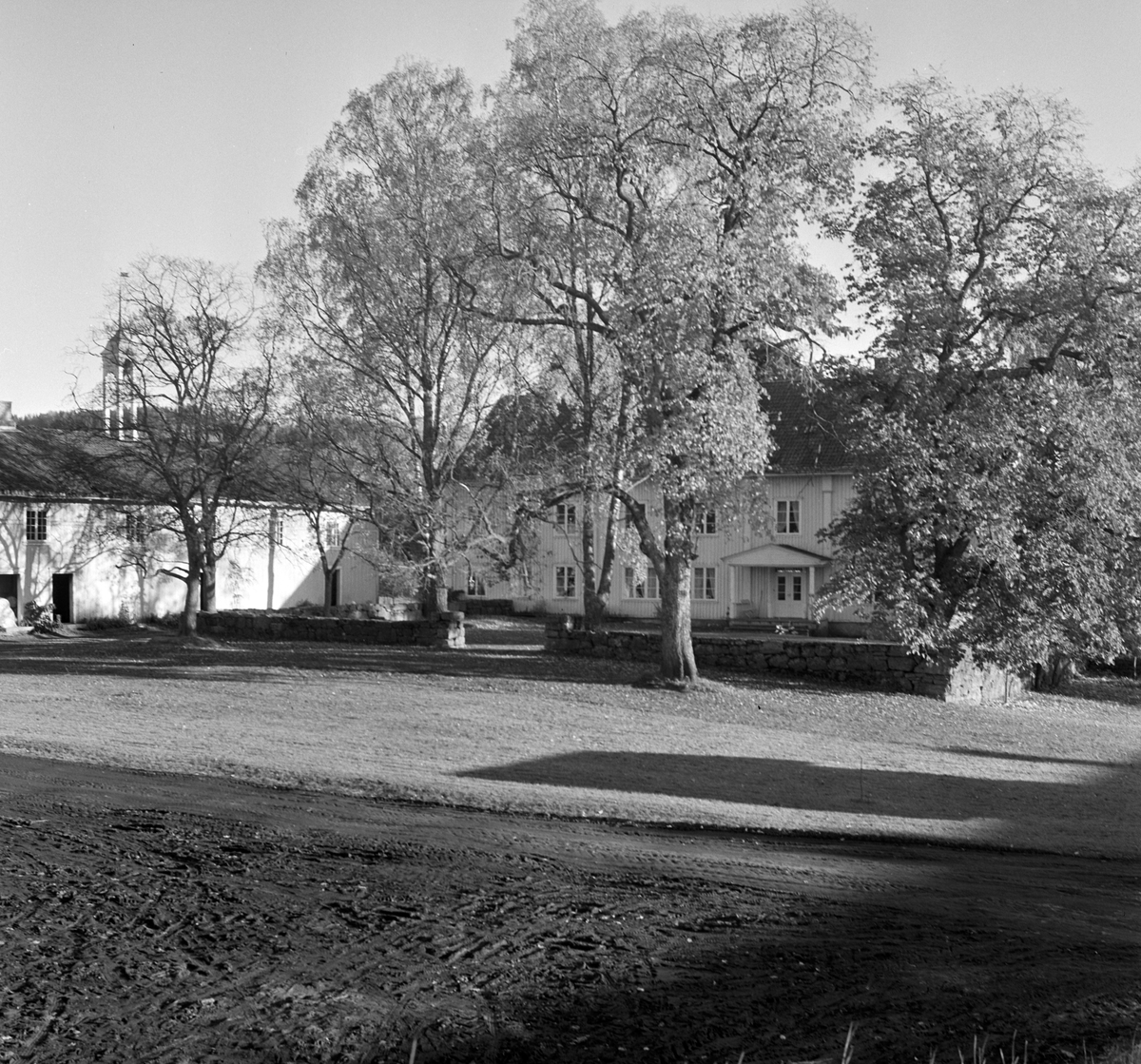 Tjerne gård ved Gaupen, Ringsaker. 