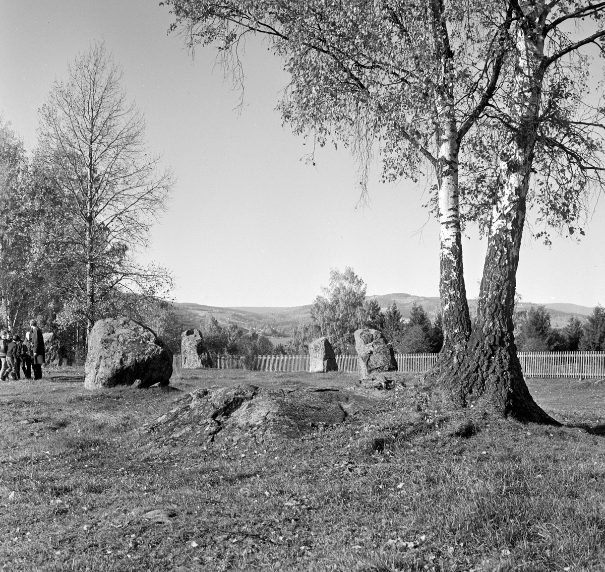 Ringsaker, Moelv, Storgata, Turistvegen, Tolvsteinene, steinkretsen på Ring under Smestad gård, fornminne i Smestadsvingen, 