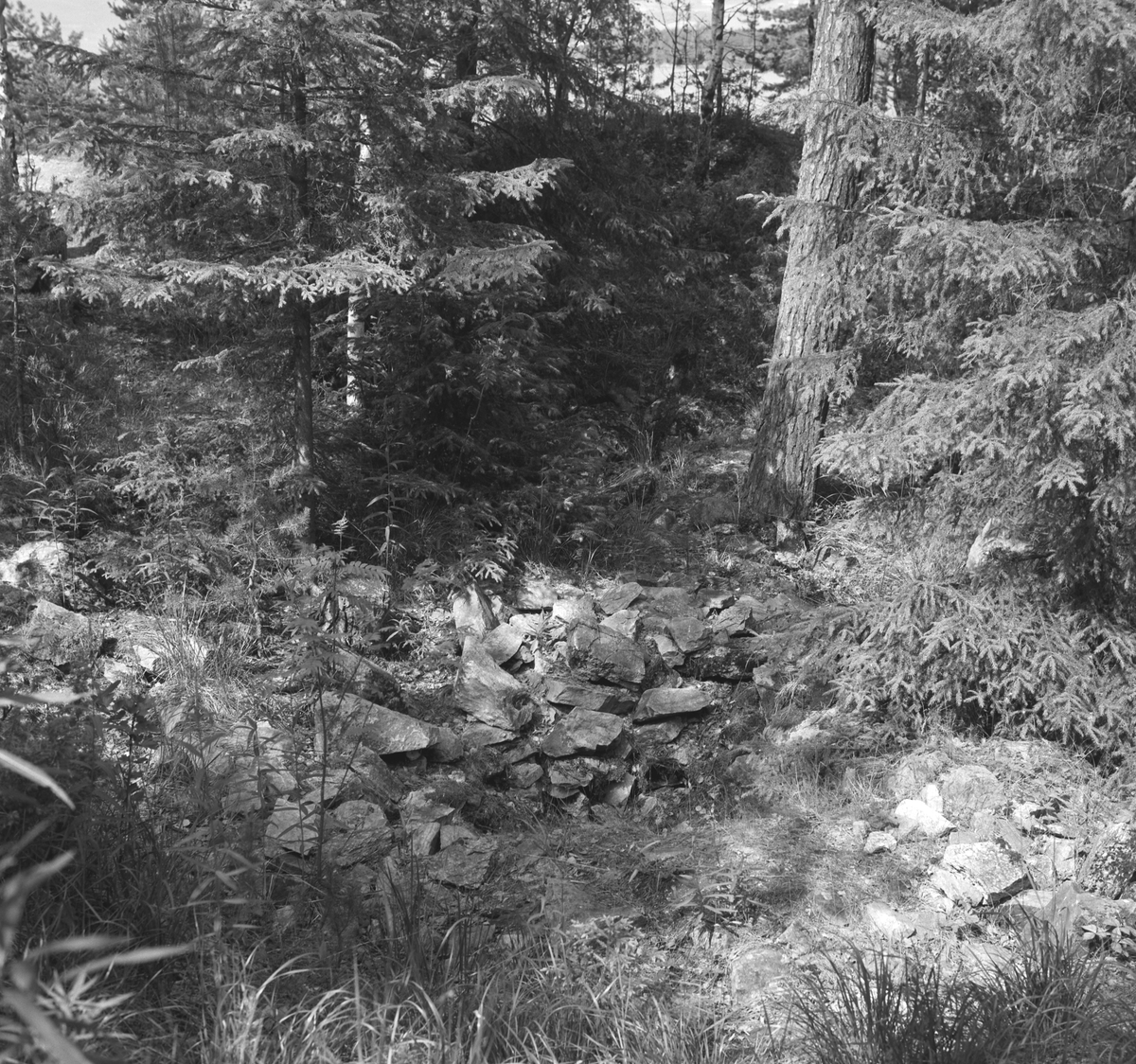 Steinsholmen, Mjøsa, Mjøskastellet, ruin
