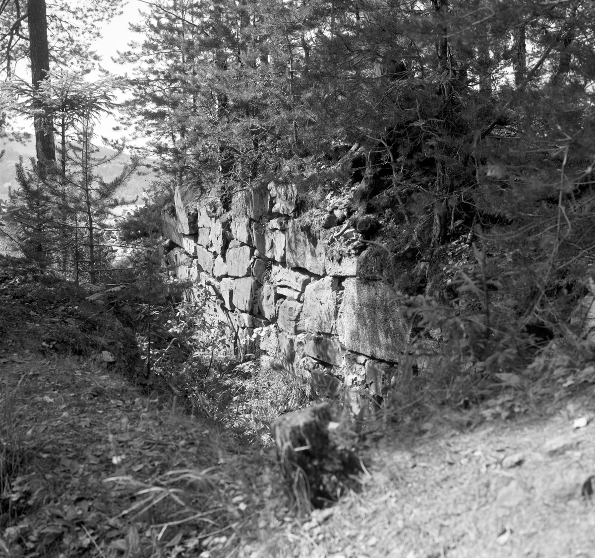 Steinsholmen, Mjøsa, Mjøskastellet, ruin, mur. 
