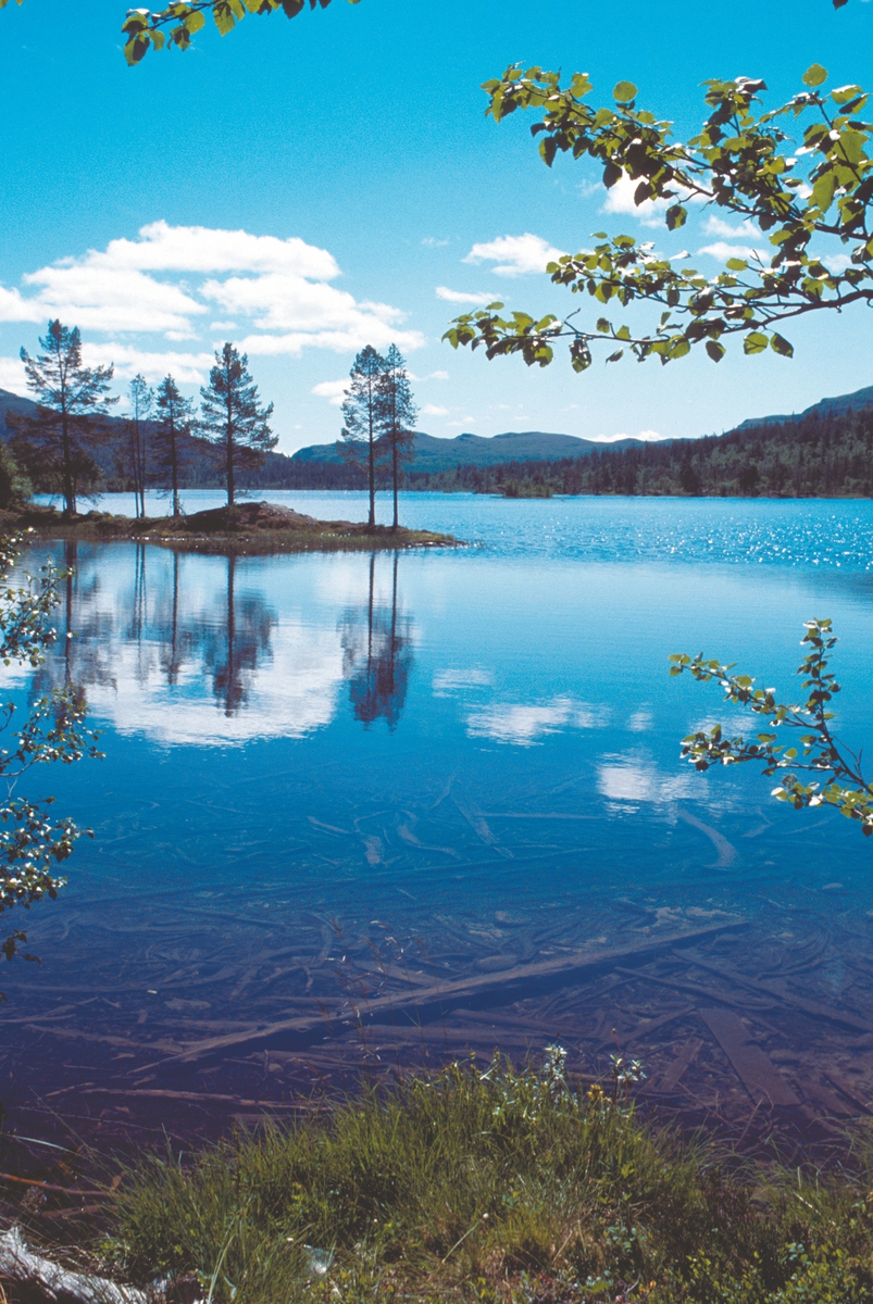 Femundsmarka