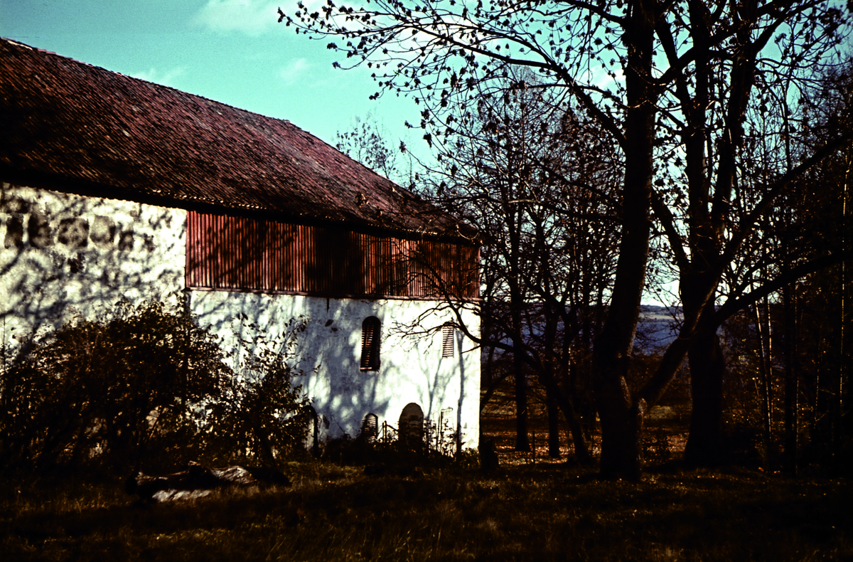 Hamar, Storhamar gård, Storhamarlåven, Domkirkeodden.