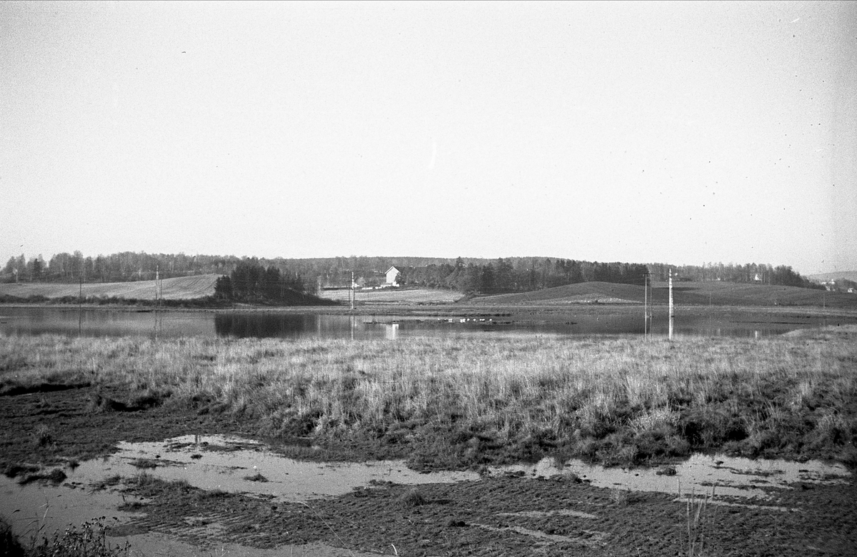 ÅKERSVIKA?, HAMAR, LANDSKAP. 