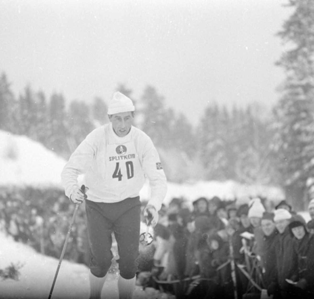 Harald Grønningen, ski, langrenn,