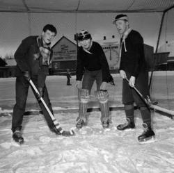 Hamar stadion, Hamar Idrettslag, HIL, bandy, Edgar Malman, L
