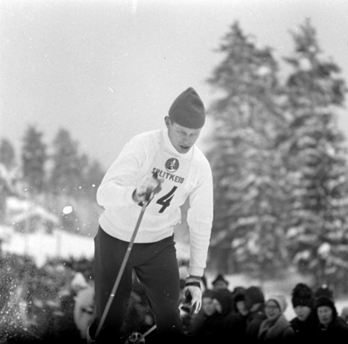 Reidar Hjermstad, Hernes, langrenn, ski.