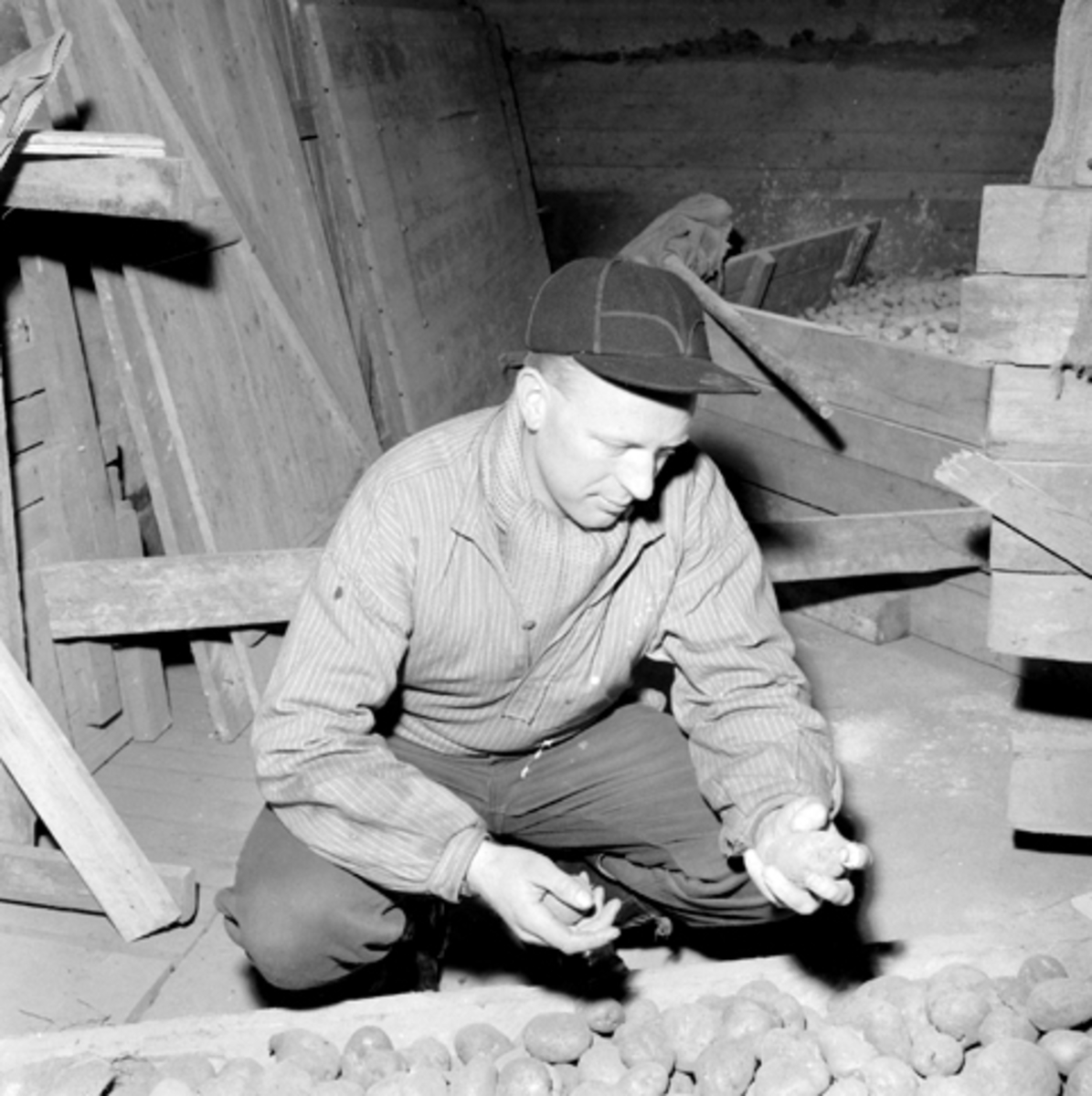 Hermann Wisløff.