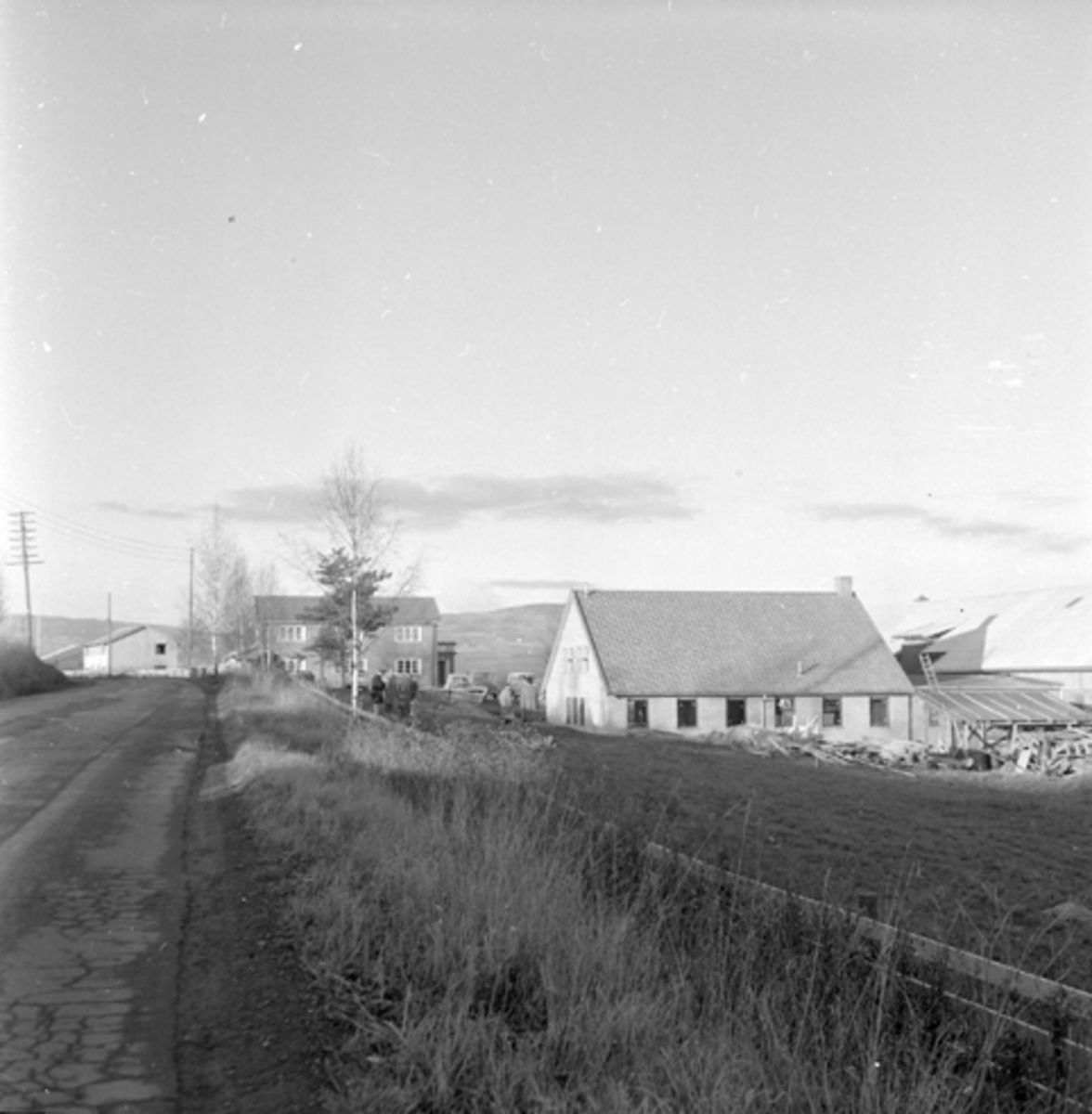 Stensby oksestasjon (NRF). Furnes.