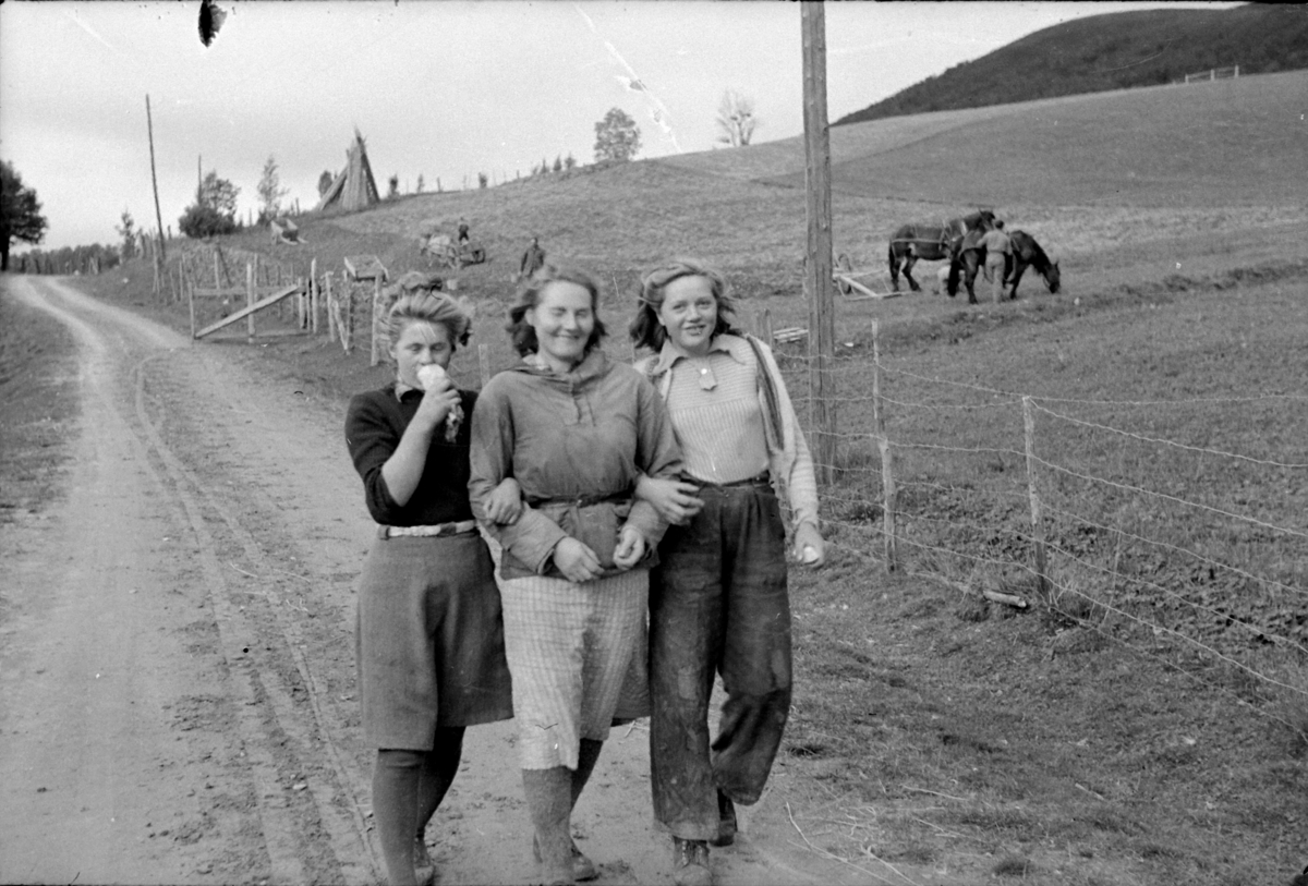 JOHAN NYGÅRD, VINGELEN P. O. ØSTERDALEN. SEPTEMBER 1943. PIKER PÅ VANDRING. 