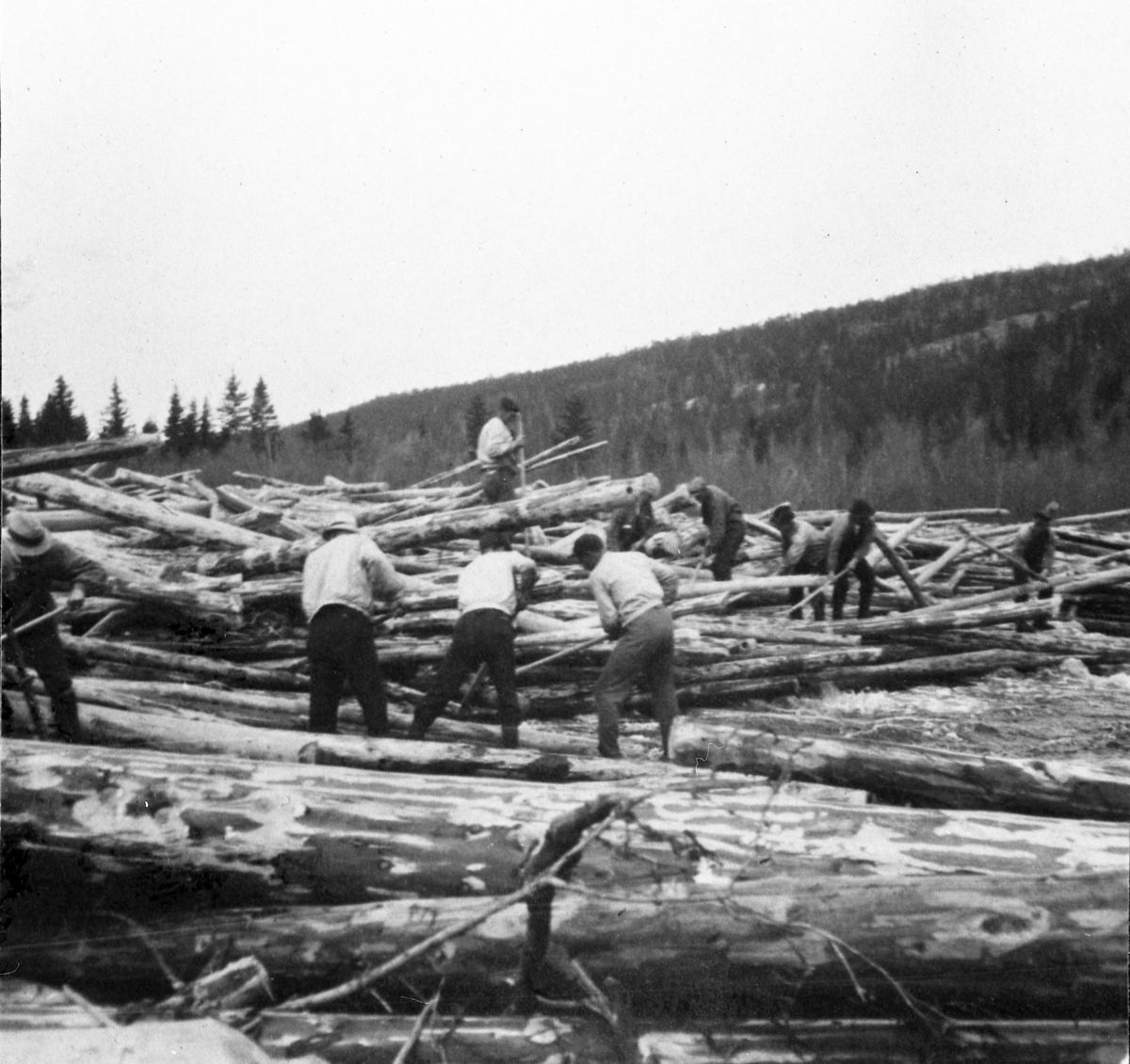 Fløting