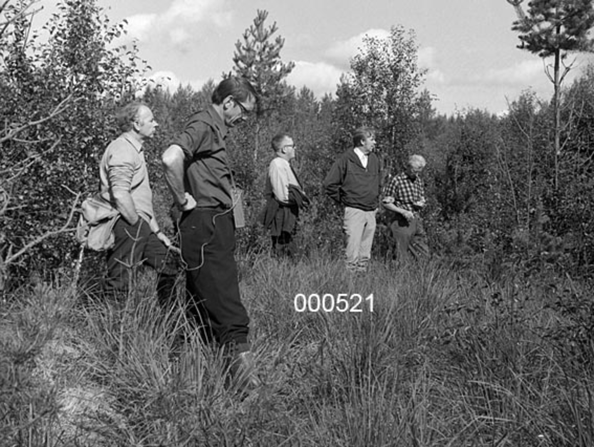 Fra befaring med viltstellkonsulent Arne Gabrielsen (lengst til venstre på bildet).  Temaet for befaringa var muligens elgbeiteskader i skog, som var et tiltakende problem tidlig i 1970-åra, da dette fotografiet ble tatt. 